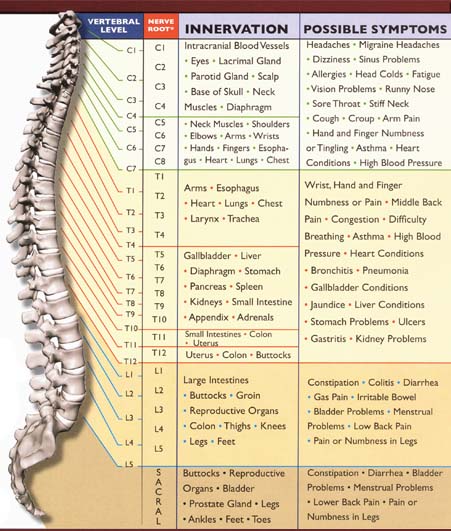 Vertebrae Chart Symptoms